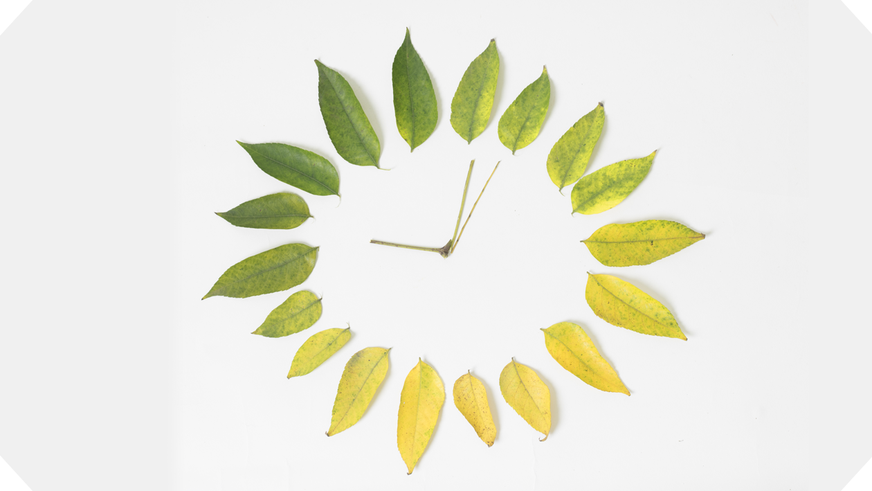 What Is the Best Time of Year to Install a Heat Pump?