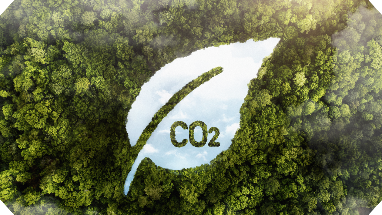 How Air to Water Heat Pumps Reduce Carbon Emissions
